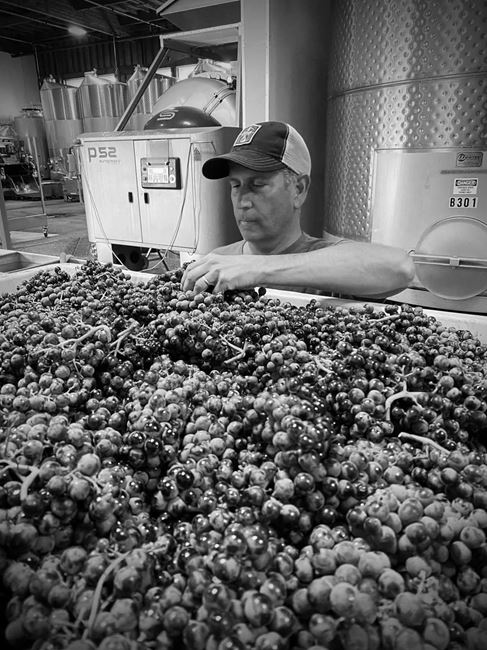 Winemaker, Steve Winters